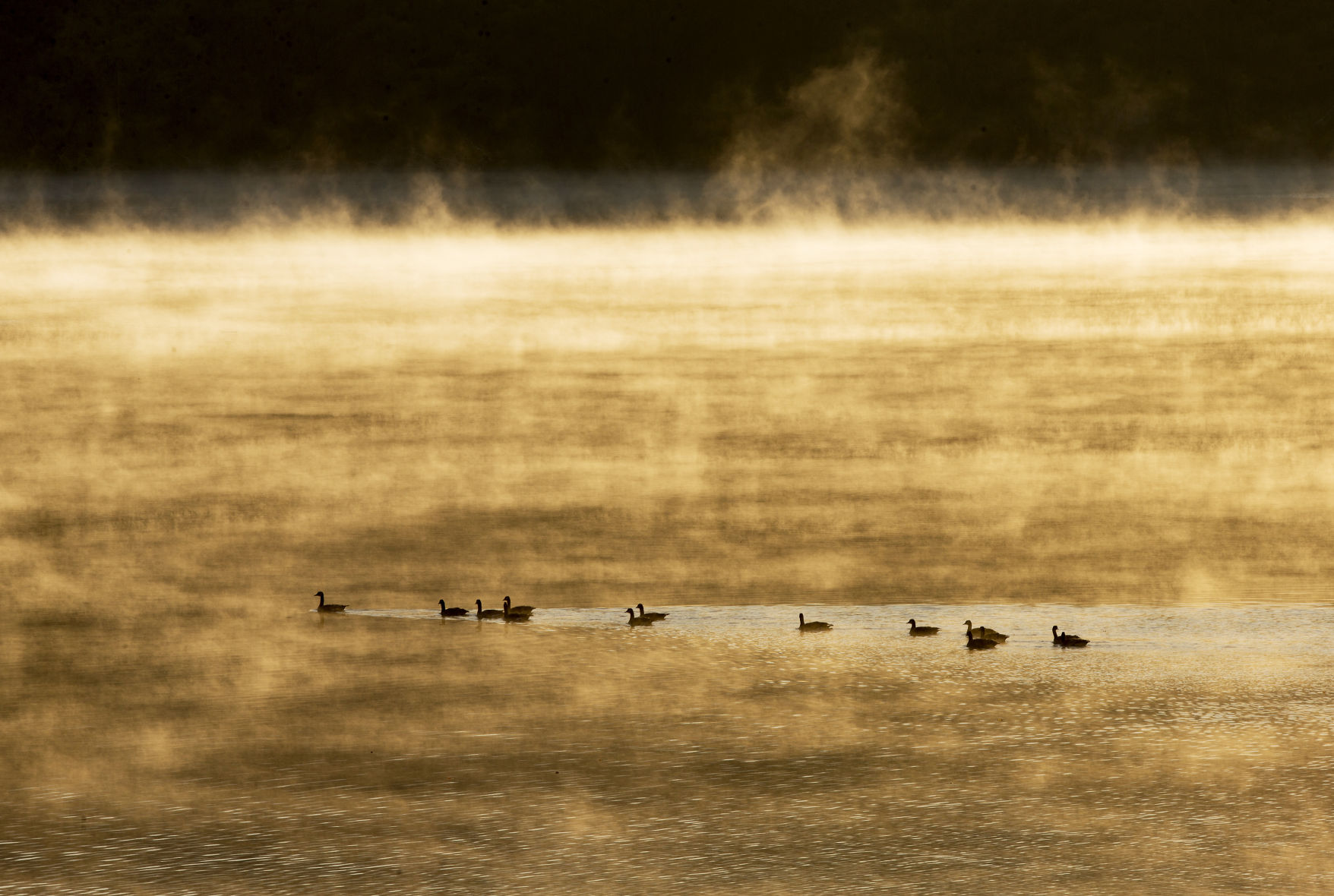 191124-newslocal-fog 01.jpg